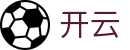 开云2026世界杯冠军竞猜高赔率投注